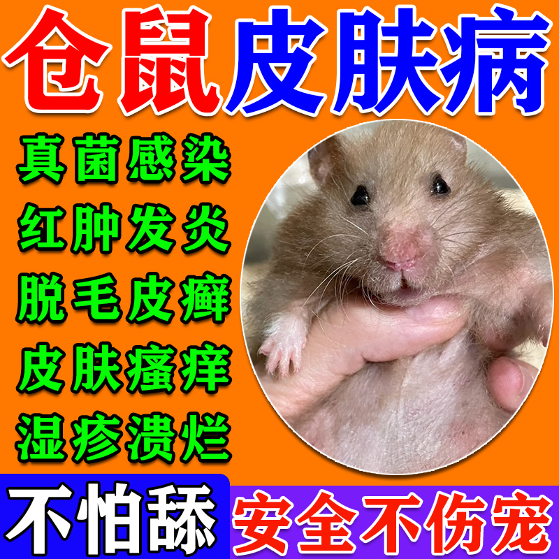 一喷就好】仓鼠皮肤病治真菌感染