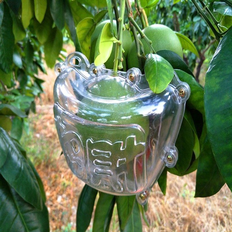 柚子模具元宝柚子塑形Pc塑料水果模具蜂蜜柚子字型全成型