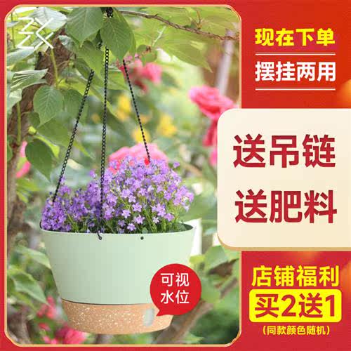 垂吊吊篮室内室外花盆花器壁挂吊挂树脂桌面花卉花绿萝简约装饰