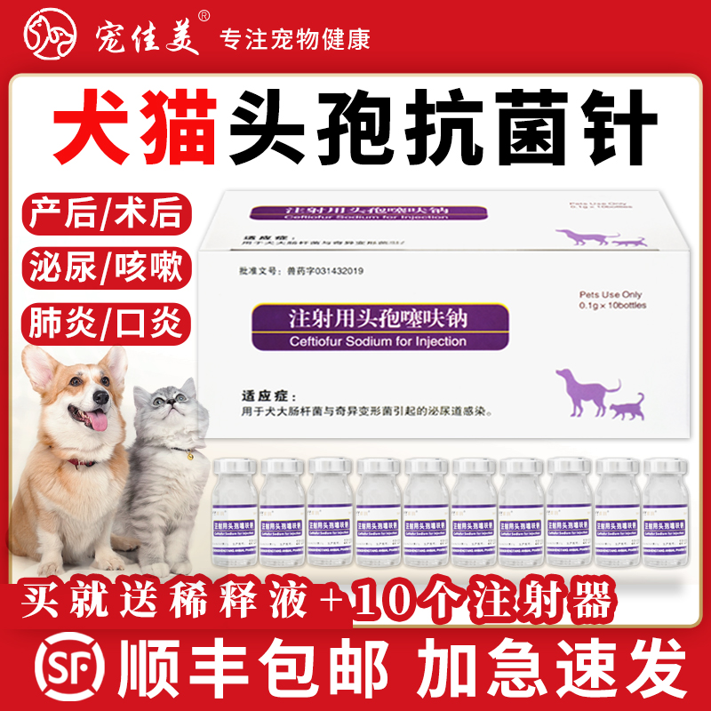 猫咪狗狗产前后消炎脓皮症皮肤