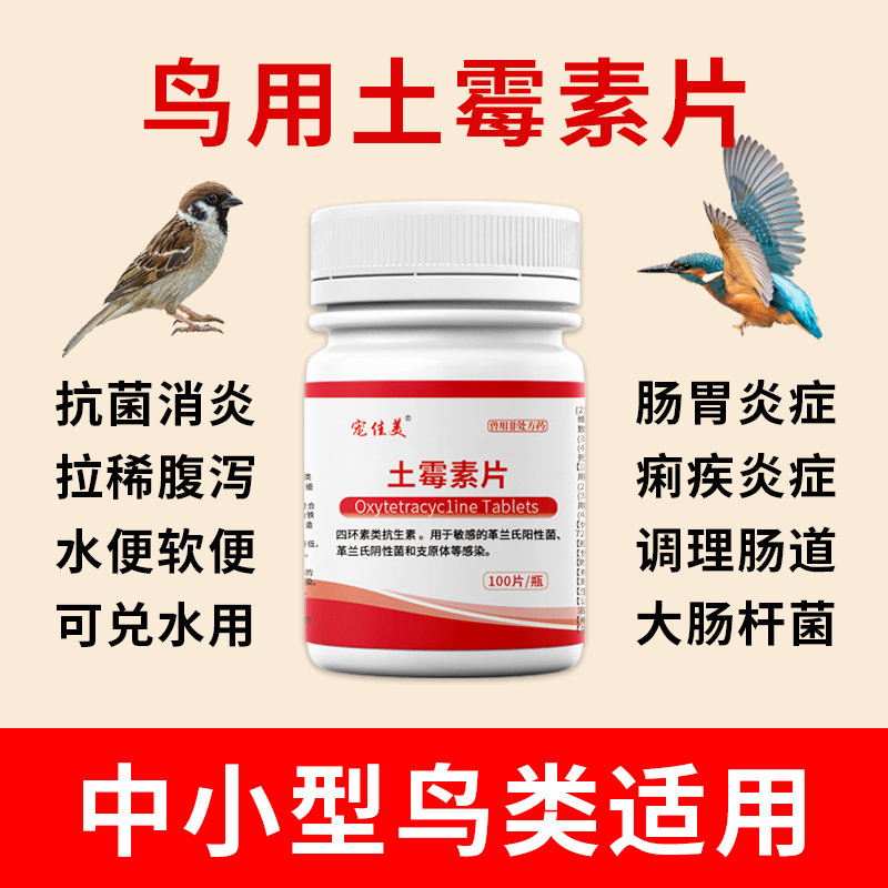 顺丰包邮加急速发鸟土霉素片肠炎