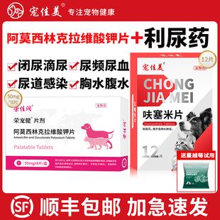 猫咪尿闭药利尿药利尿通泌尿道感染尿血呋塞米猫尿闭尿费劲消炎药