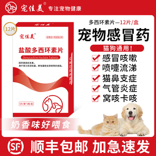 宠物感冒药打喷嚏流鼻涕感冒专用狗狗猫咪多西环素片猫鼻支治疗药