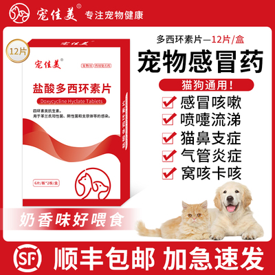 宠物感冒药打喷嚏流鼻涕感冒专用