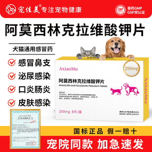 250mg阿莫西林克拉维酸钾片猫咪狗狗速感冒咳嗽诺猫鼻支猫消炎片