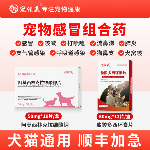 猫咪消炎片阿莫西林克拉维酸钾片