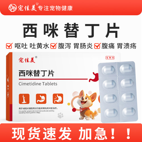 宠物专用止吐药吐黄水呕吐白沫