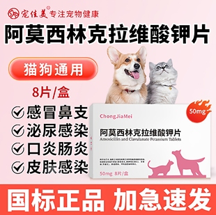 猫咪狗狗打喷嚏感冒咳嗽猫鼻支阿莫西林克拉维酸钾宠物速消炎药诺