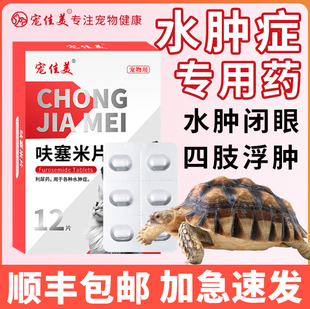 乌龟水肿肠炎肺炎浮水蒙眼白眼病消肿专用药呋塞米片四肢浮肿脖子