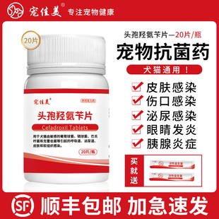 宠物头孢羟氨苄片狗狗猫咪犬用脓皮症伤口消炎感冒药尿路感染尿血