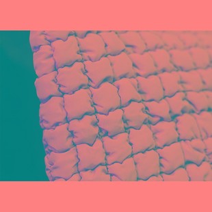 服装设计面料小样色卡册各种特殊材质二次创意改造肌理图案不重样