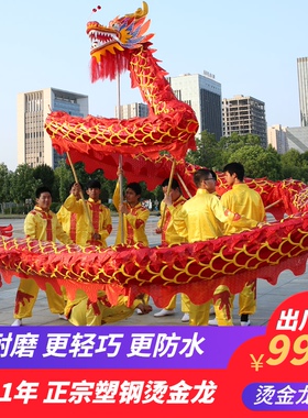 舞龙道具龙灯服装舞狮夜光龙狮烫金灯表演九节龙头灯光布龙整套