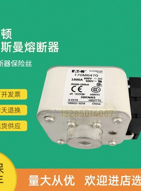 全新快速熔断器保险170M6470 170M6471 170M6474 170M6478