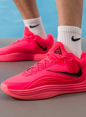 耐克NIKE官方正品男鞋25年冬季新款字母哥倒钩缓震耐磨男子篮球鞋