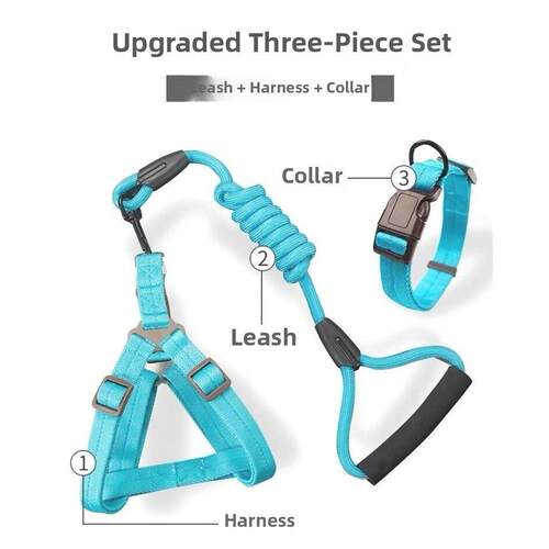 harness collar dog chain walk dog leash durable scottish