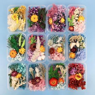 200pc Real Dried Flowers For DIY Art Craft Epoxy Resin Candl
