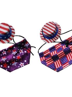 Bearded Dragon Independence Day Costume Holiday Dress Up