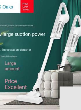 2in1 Handheld Stick Vacuum Cleaner 600W High power Mute