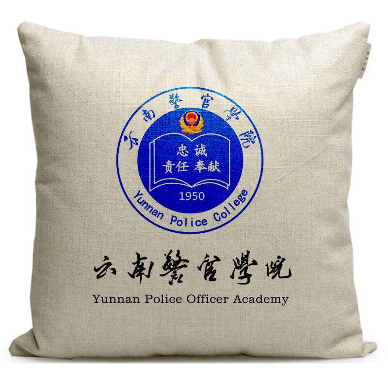 速发警校毕业留念 云南警官学院校徽礼品纪念品沙发靠垫抱枕
