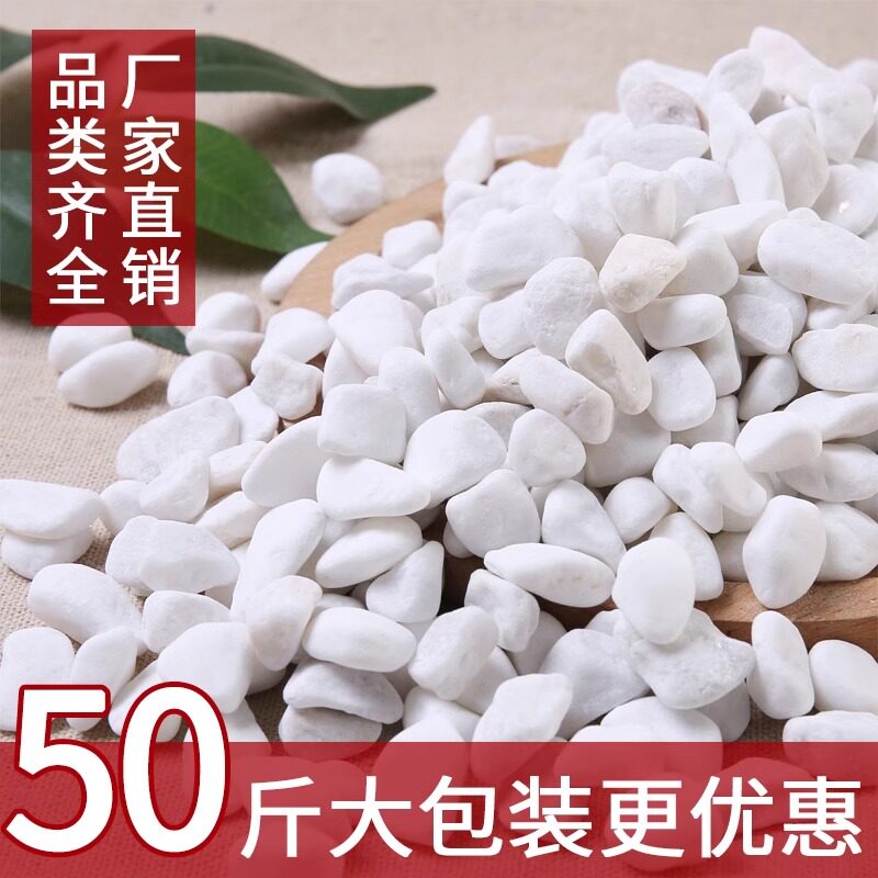 速发盆栽白石石子色头路鹅卵石庭院铺大铺地小白石头造景景观白石
