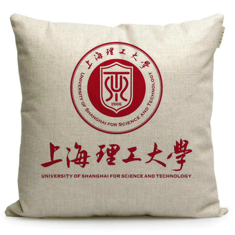 速发上海理工大学纪念品礼品学生座椅靠垫午休靠枕沙发抱枕