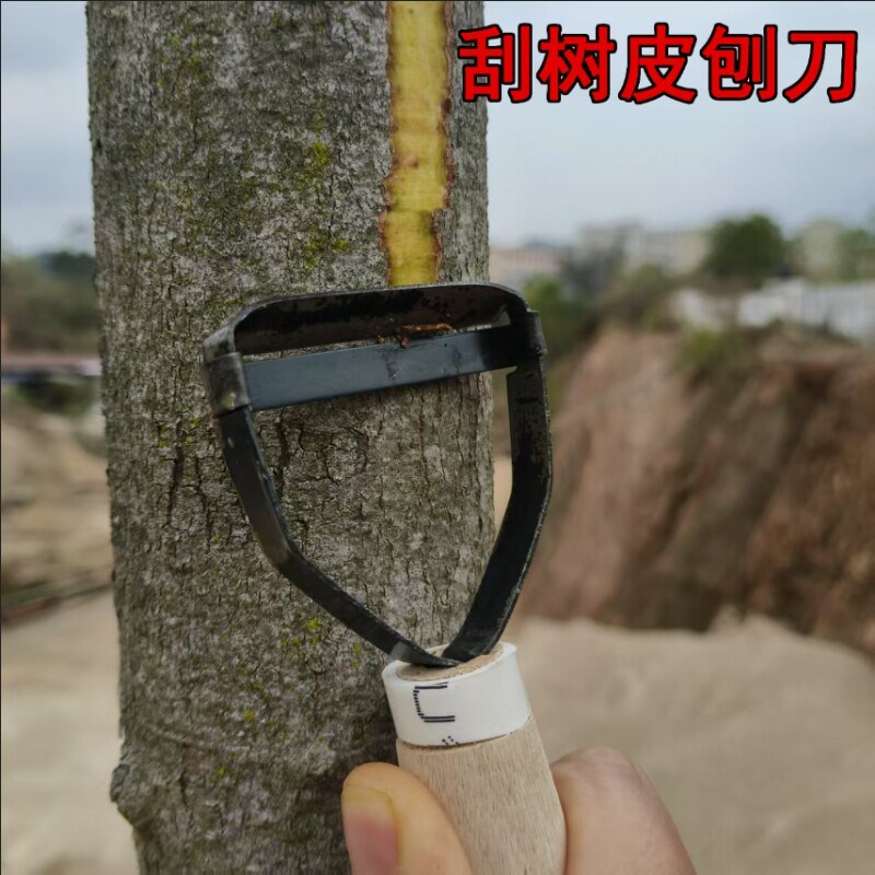 速发5个卒火两刀口刨刀开桂皮刀神器树皮刀刮松树开皮省力专用果