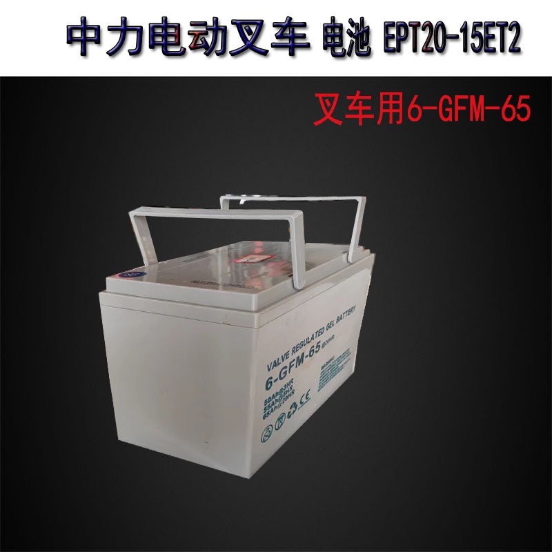中力电动叉车小金刚1.5吨液压叉车电池EPT20-15ET2免维护铅酸电池