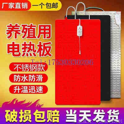 母猪产床防滑垫猪用防滑垫设备保暖橡胶隔凉育床仔猪养殖场垫板猪