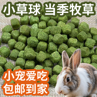 苜蓿小草砖果蔬高纤维磨牙零食仓鼠龙猫兔子豚鼠荷兰猪营养500g克