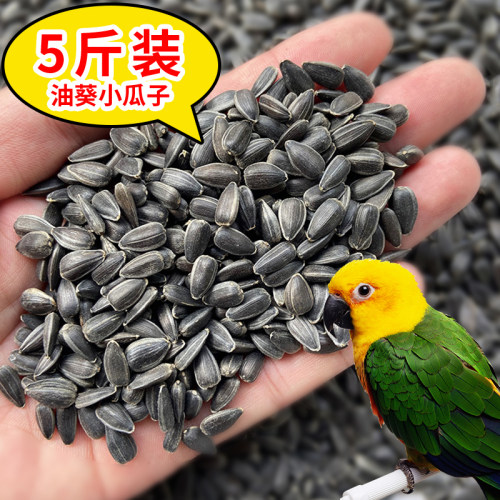 油葵小瓜子饲料鸟食鹦鹉