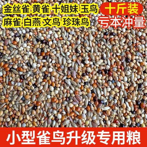 七彩文鸟芙蓉鸟混合鸟食