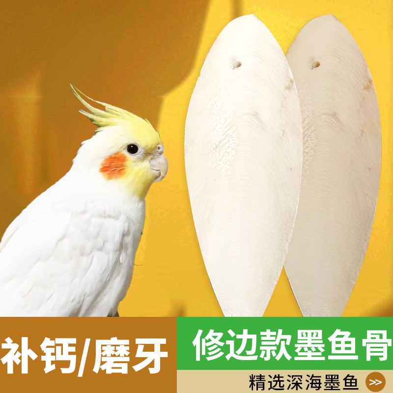 鹦鹉补钙墨鱼骨玄凤虎皮牡丹鸟零食吊串啃咬玩具打磨牙用品海螵蛸,宠物/宠物食品及用品,鸟禽其他,淘宝优惠券,粉丝福利购,淘宝优惠卷