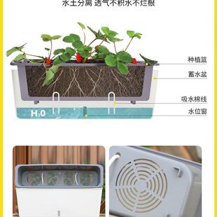 家庭阳台自吸水种菜盆蔬菜长方形花盆塑料长条种植盆家用种菜神器