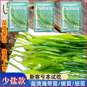 闽悟海带嫩苗健康海带苗火锅食用凉拌海带芽盐渍海带少盐无沙新鲜