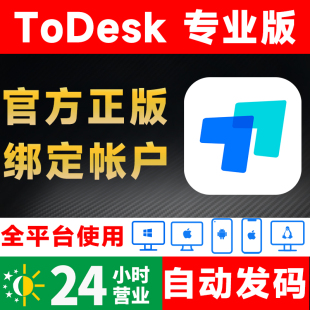 兑换码 会员一年手机控制电脑远程软件激活码 todesk专业版