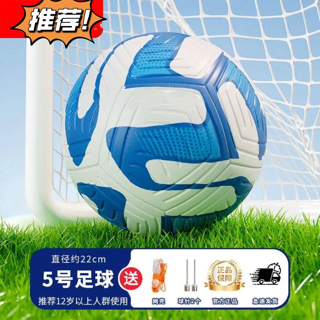 正版足球儿童小学生专用4号耐磨足球中考学生5号便宜足球