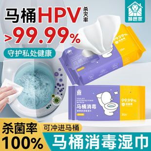 HPV擦马桶消毒湿巾厕所卫生间坐垫圈杀菌0酒精清洁小包便携湿纸巾
