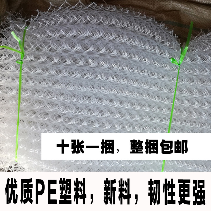 现货速发蚕宝宝吐丝结茧网养蚕波浪型结茧网大张塑料上簇网重复用