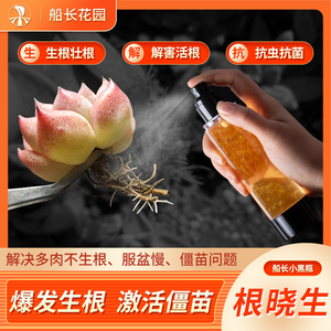 速发船长多肉花园养晓生根营根液植快通用型快生根原液物速壮根苗