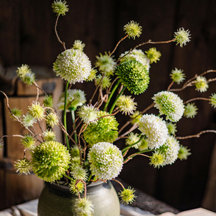 速发龙须假果树枝简约野趣饰居房间装 家客厅玄关长枝插花摆件