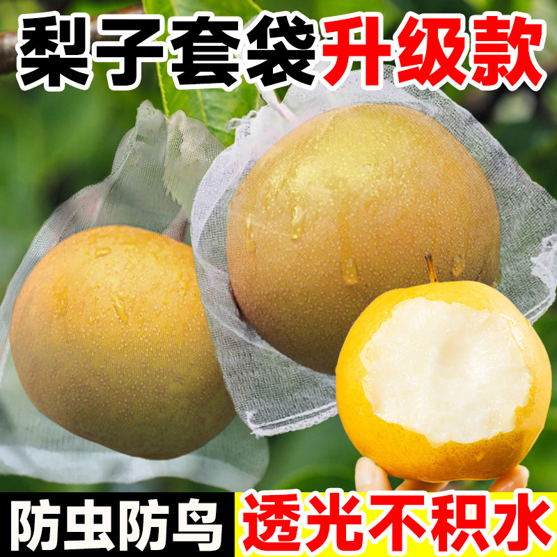 速发用子套袋专梨神秋月梨防虫防鸟葡萄草莓枇杷桃子水果网袋果袋