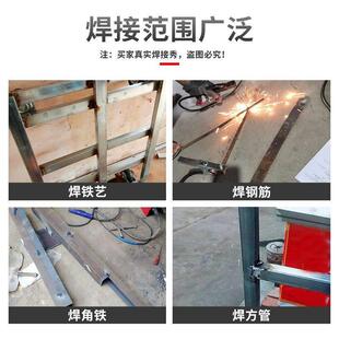 大焊250小型电焊机家用220v迷你315手提400两相直流焊机无气便携