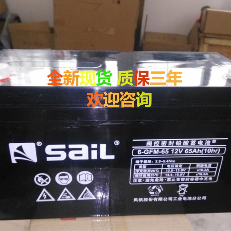蓄电池6-GFM100*12v100ah ups机房电源 应急65AH/80AH电池