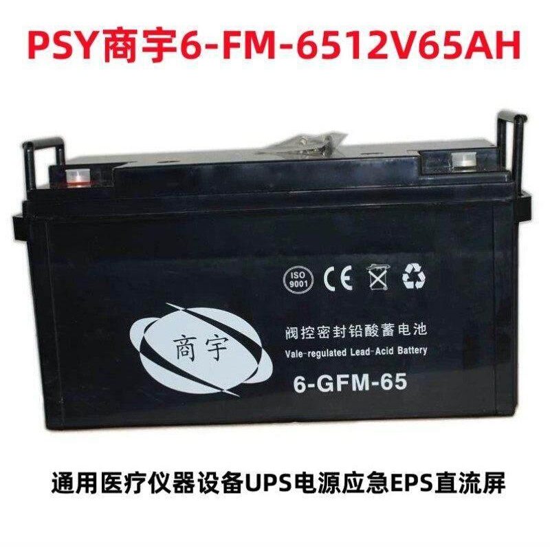商宇6-FM-6512V65AH阀控密封铅酸蓄电池免维护UPS直流屏EPS机房