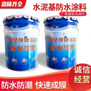 水泥基渗透结晶型防水涂料桥梁隧道水利混凝土基面水泥地面修补漏