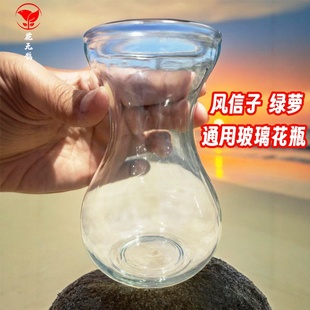 花瓶桌面装饰风信子透明摆件水培绿萝办公室器皿花瓶客厅简约玻璃