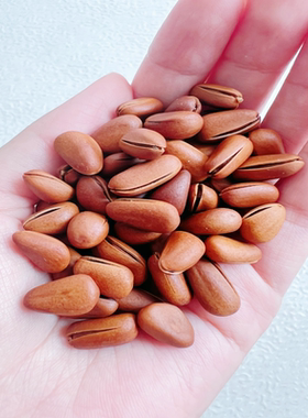 东北开口红松子新货手剥休闲零食干果即食网红坚果大礼包炒货年货