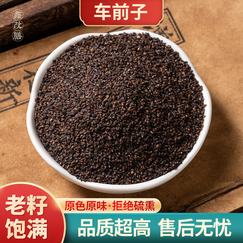 车前子中药材正品500g