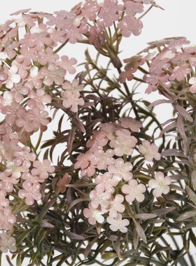 亚马逊 仿真花7叉喷色球菊室内家居装饰插花摆件婚庆花艺创意假花