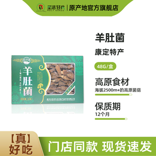 达折渚羊肚菌干货菌菇煲汤食材甘孜州特产礼盒装送礼送长辈48g/盒